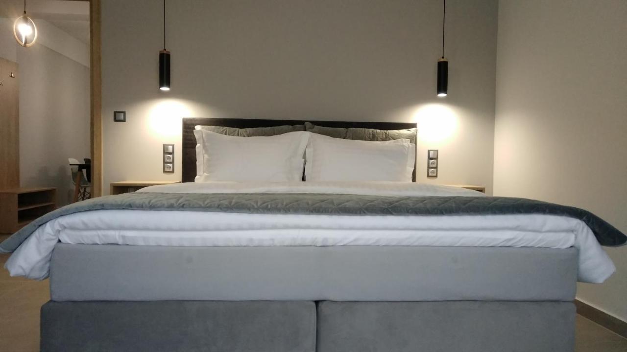 Psammites Apartment Kalampáka Ngoại thất bức ảnh